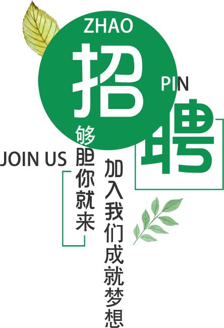 最新陽江招聘信息全面概覽