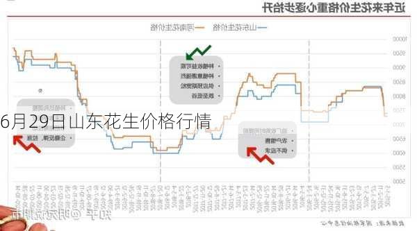 山東花生米最新價(jià)格動(dòng)態(tài)分析與趨勢(shì)預(yù)測(cè)