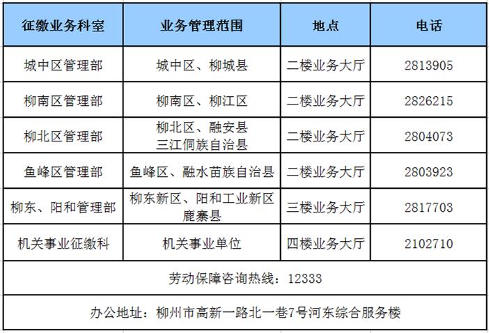 河池市勞動和社會保障局發(fā)展規(guī)劃，構(gòu)建和諧社會，推動可持續(xù)發(fā)展新篇章